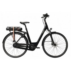 Qwic Echo Daily 2026 Women