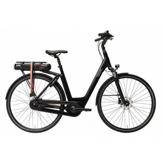 Qwic Echo Daily 2026 Women