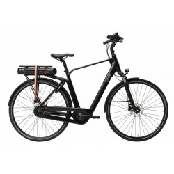 Qwic Echo Daily 2026 Men