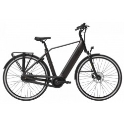 Qwic Inter Plus 2026 Women