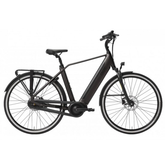 Qwic Inter Plus 2026 Women