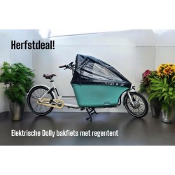 Elektrische Dolly bakfiets met toebehoren