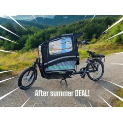 Elektrische Gazelle Cabby bakfiets met nieuwe accu en motor