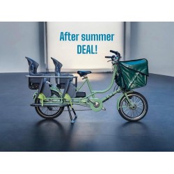 Elektrische Longtail tweelingfiets met nieuwe accu en motor