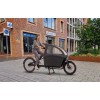 Cube hybrid sport Bakfiets - Ideaal voor families