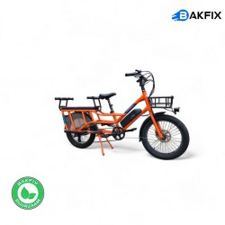 Radwagon 4 longtail tweelingfiets geschikt voor 2 kinderen