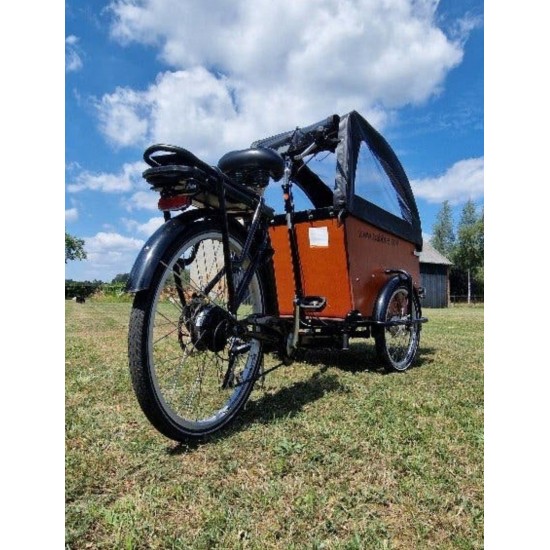 Babboe Dog-E bakfiets - Ideaal voor hondenliefhebbers!
