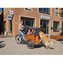2dehands Babboe Curve Mountain Hondenbakfiets met Deurtje