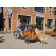 2dehands Babboe Curve Mountain Hondenbakfiets met Deurtje
