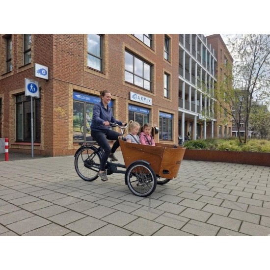 Elektrische Babboe Carve Mountain Bakfiets