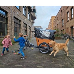 ????Babboe Go mountain bakfiets met huif