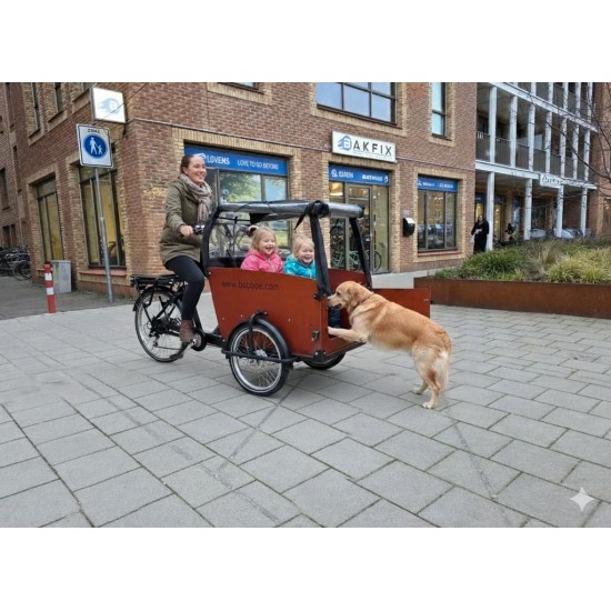 2dehands Babboe Big/Dog Bakfiets met toebehoren