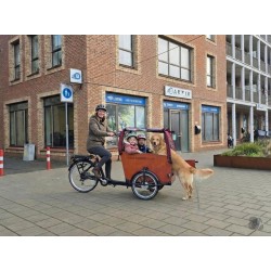 Babboe Dog/Big hondenbakfiets familie bakfiets met huif