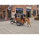 Babboe Curve/Go Dog Elektrische Bakfiets met Regentent