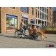 Babboe Go Bakfiets - Familie & Hondenbakfiets