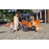 Babboe Curve-e hondenbakfiets met deurtje voor