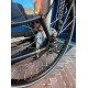 Bakfiets(.)nl Kort hondenbakfiets en deurtje