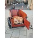 Babboe Big/Dog bakfiets met deurtje ideaal voor families