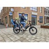 Elektrische Radwagon Bakfiets - Perfect voor 2 kinderen!