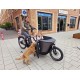 Carqon hondenbakfiets met deurtje - Ideaal voor huisdieren