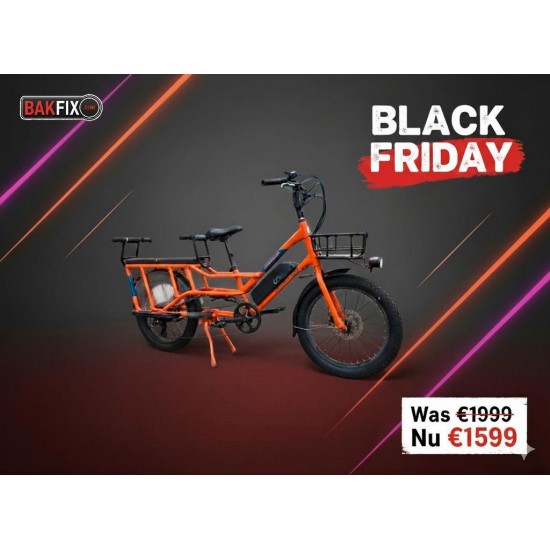 Radwagon 4 longtail tweelingfiets geschikt voor 2 kinderen