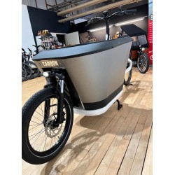 Elektrische Carqon classic met deur