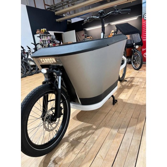 Elektrische Carqon classic met deur