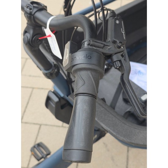 Winora Cargo Line Bakfiets met Regentent