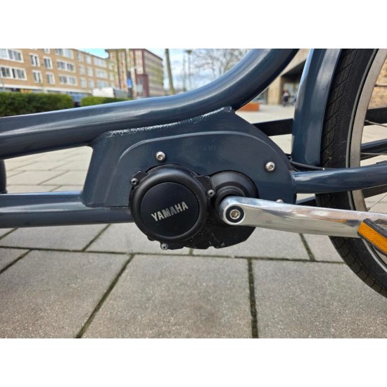 Elektrische Babboe Carve Mountain Bakfiets