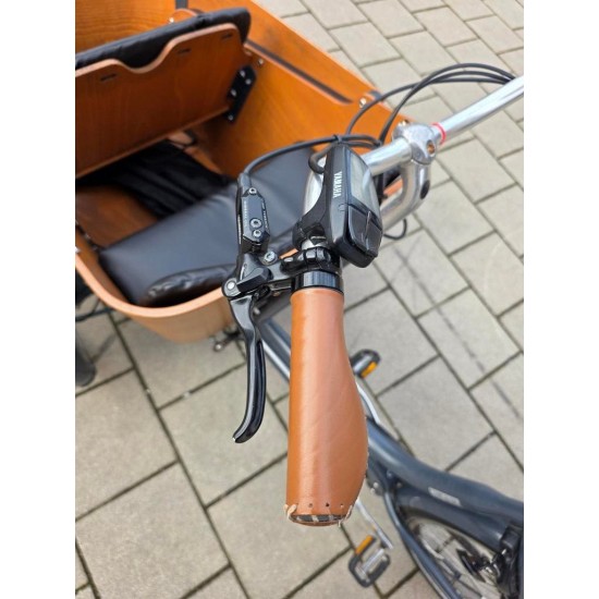 Elektrische Babboe Carve Mountain Bakfiets