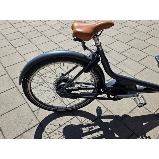 2dehands Babboe Curve Mountain Hondenbakfiets met Deurtje