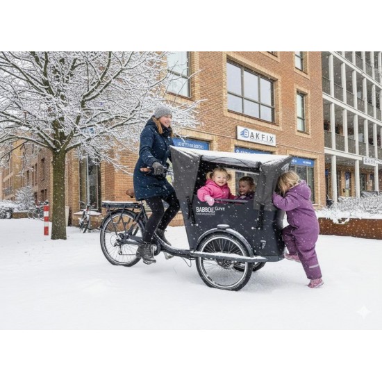 Babboe Curve Bakfiets - Perfect voor gezinnen!