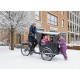 Babboe Curve Bakfiets - Perfect voor gezinnen!