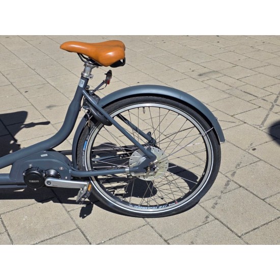 2dehands Babboe Curve Mountain Hondenbakfiets met Deurtje