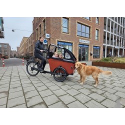 Babboe Dog/Big Hondenbakfiets Ideaal voor kinderen en hond!