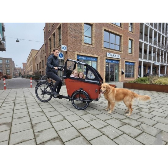 Babboe Dog/Big Hondenbakfiets Ideaal voor kinderen en hond!
