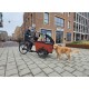Babboe Dog/Big Hondenbakfiets Ideaal voor kinderen en hond!