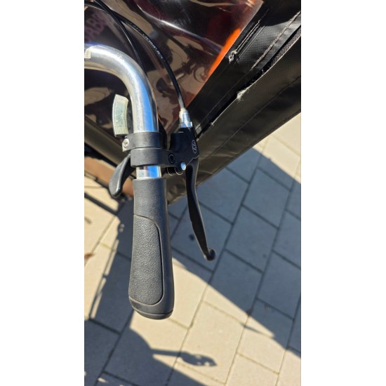 Elektrische Babboe Dog Bakfiets met Regentent - Topstaat!