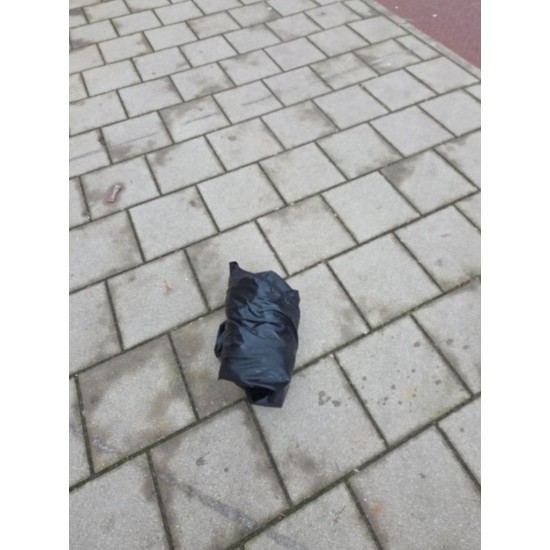 Elektrische Babboe Big bakfiets hondenbakfiets