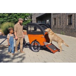 Elektrische Babboe Dog Bakfiets met Regentent - Topstaat!