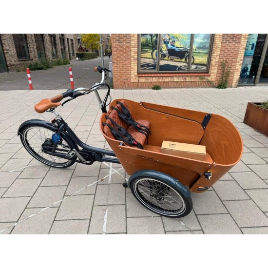 2dehands Babboe Carve Mountain-regentent, slechts150km