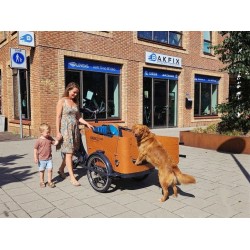 Babboe Curve/Go Dog Elektrische Bakfiets met Regentent