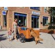 Babboe Curve/Go Dog Elektrische Bakfiets met Regentent