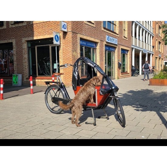Niet-elektrische Bakfiets met Hondenluik - Ideaal voor Honde