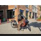 Niet-elektrische Bakfiets met Hondenluik - Ideaal voor Honde