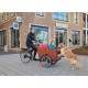 Babboe Big/Dog bakfiets met deurtje ideaal voor families