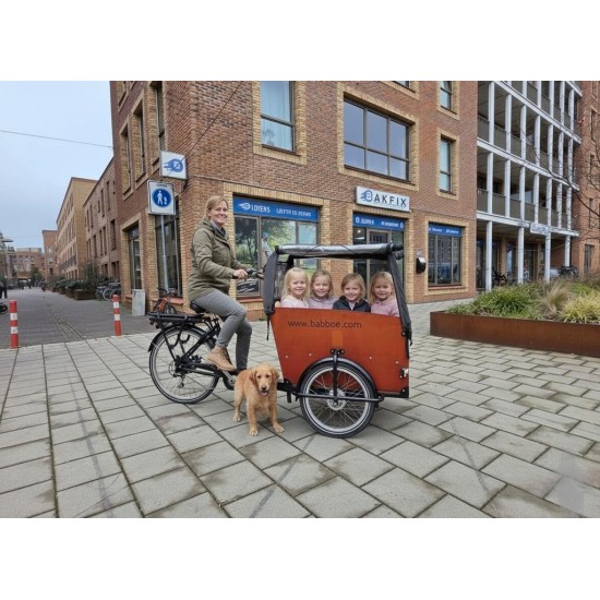 Elektrische Babboe Big bakfiets hondenbakfiets
