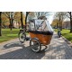 ????Babboe Carve mountain bakfiets met Perfect voor gezinnen!