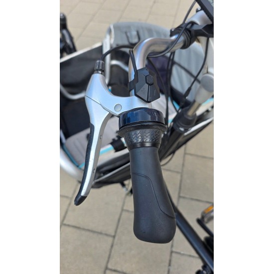 2dehands Elektrische Gazelle Cabby bakfiets met sterke accu