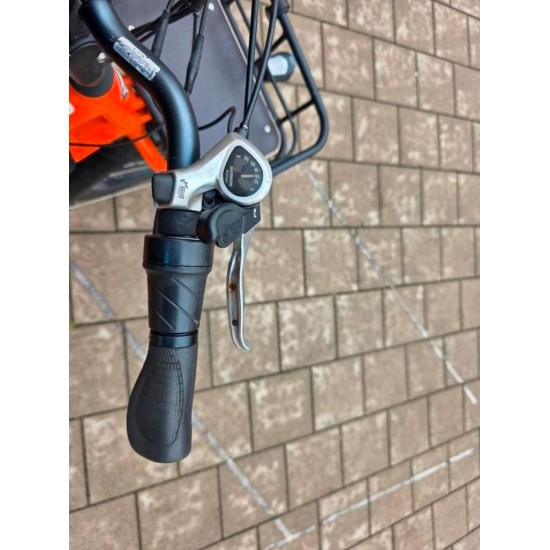 Radwagon 4 longtail tweelingfiets geschikt voor 2 kinderen